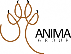 Anima Group logo